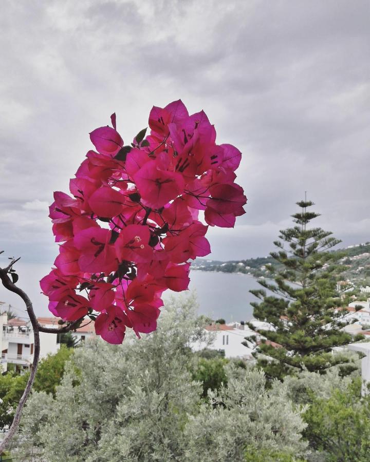 Villa Anna Megali Ammos  Esterno foto