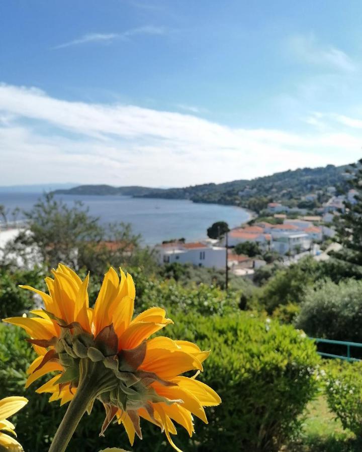 Villa Anna Megali Ammos  Esterno foto